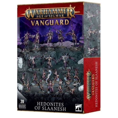 Vanguard: Hedonites of Slaanesh miniatures set