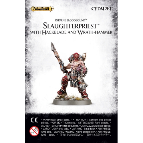 Slaughterpriest with Hackblade - GW miniature Age of Sigmar