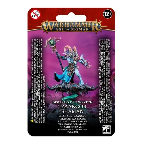 Disciples of Tzeentch: Tzaangor Shaman