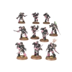 Champions of Slaanesh – Emperor's Children Army Set (ENGLIH)