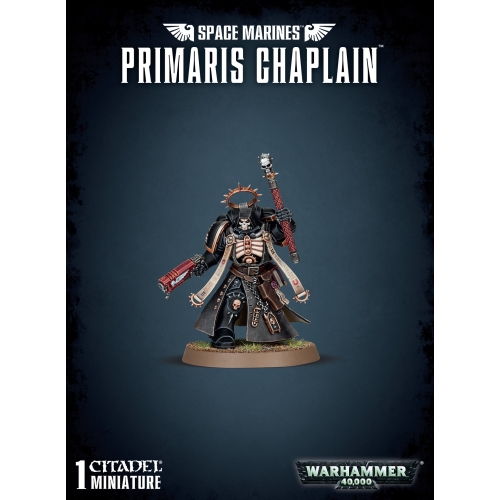 Space Marines: Primaris Chaplain